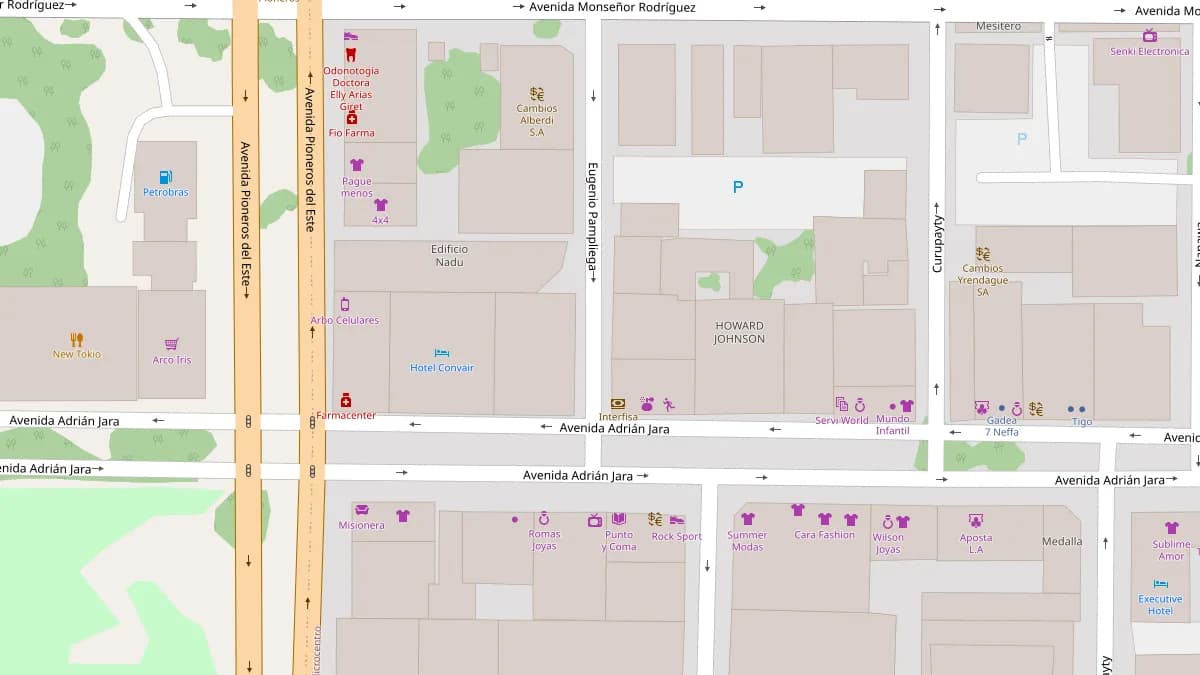 Mapa de las calles del microcentro de Ciudad del Este, con un pin sobre la Avenida Eugenio Pampliega, cerca del cruce con la Avenida Adrián Jara.